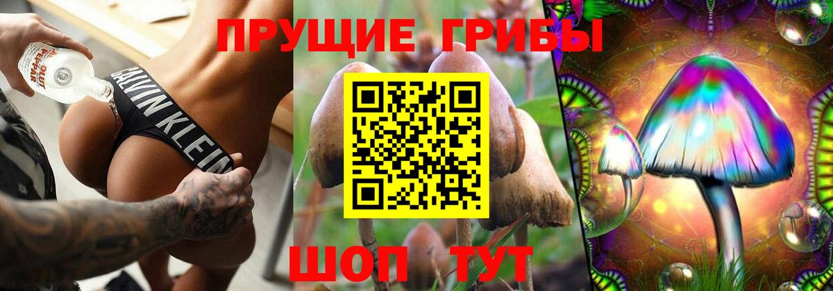Псилоцибиновые грибы Psilocybine cubensis  Вход с VPN  где купить наркотик  Мыски 